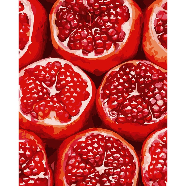 Картина по номерам Роскошный гранат 953824 40x50 см Santi 