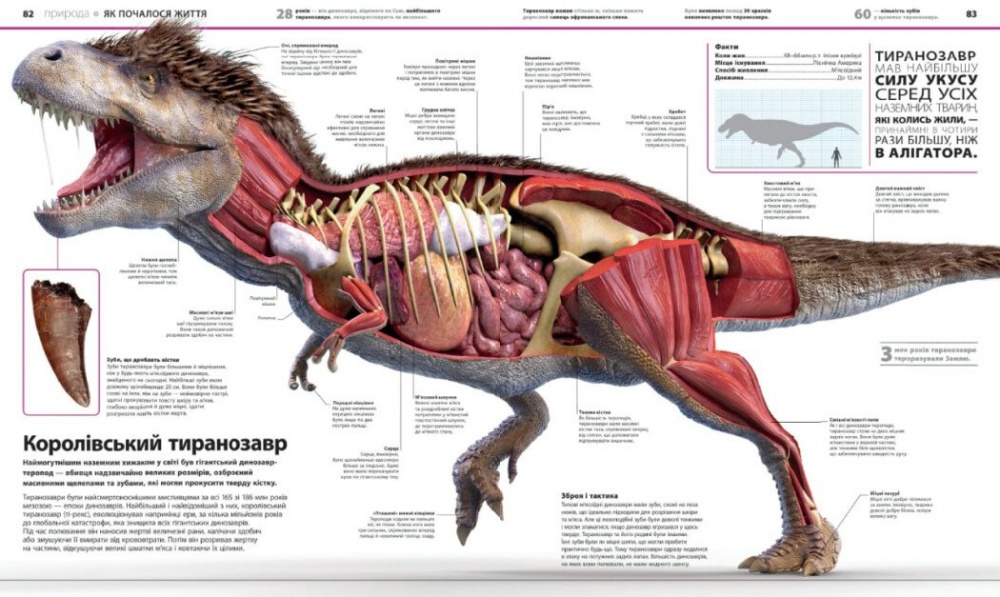 Книга Брайан Ким «Енциклопедія знань» 978-617-09-8945-1