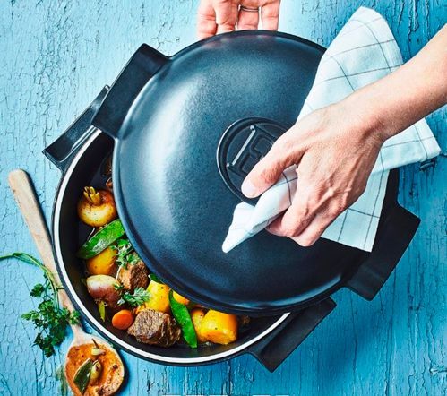 Жаровня с крышкой Delight 2,5 л 08700753 Emile Henry