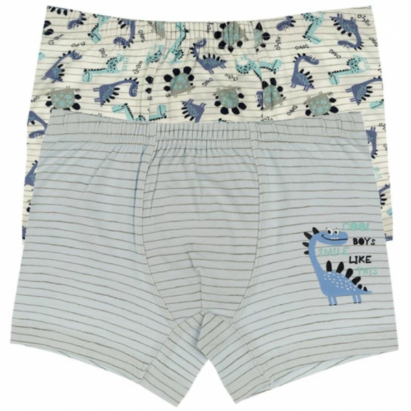 Трусы для мальчика Donella 75950CB р.98-104 в ассортименте 