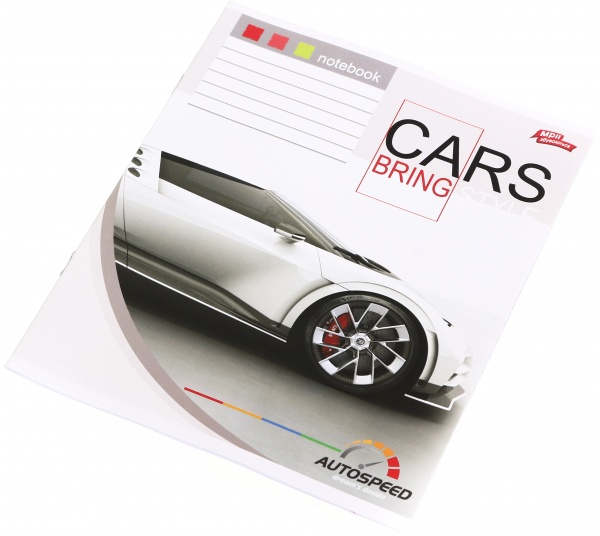 Тетрадь школьная 18 листов в линейку в ассортименте Мечты сбываются