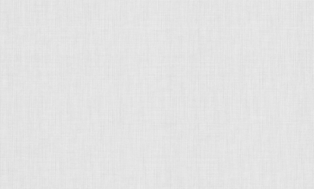 Шпалери вінілові на флізеліновій основі PROfhome РН 100 Р 00 1,06x10,05 м