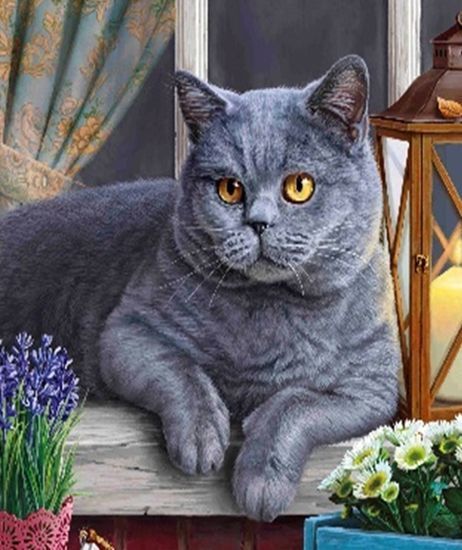 Набор для творчества со стразами на подрамнике Ученый кот 40x50 см Діамантові ручки 