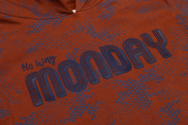 Худи для мальчика NWM р.128 коричневый U44164-1 