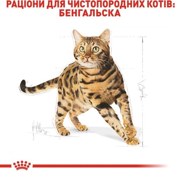 Корм Royal Canin Bengal Adult 2 кг