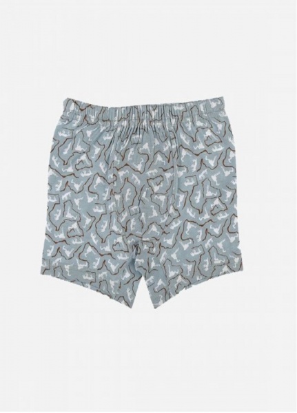 Труси для хлопчика Donella 75882 р.134-140 в асортименті 