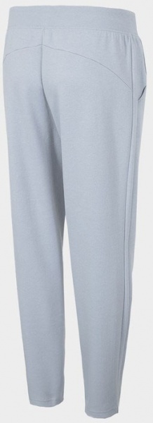 Штани 4F H4L22-SPDD014-34S р. 2XL бузковий