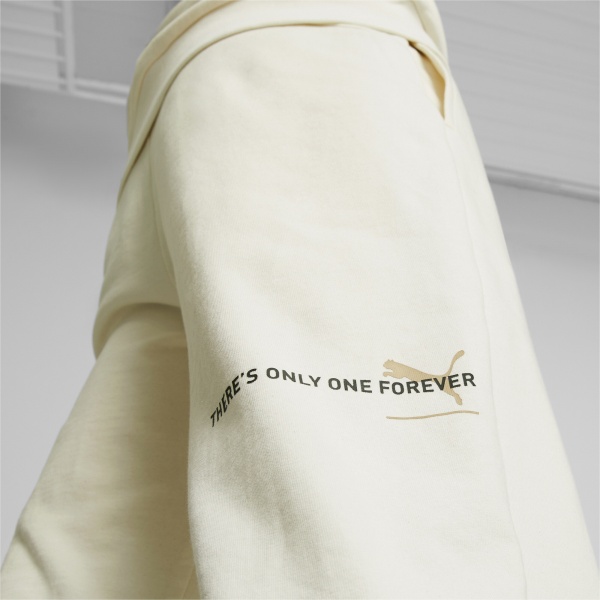 Брюки Puma ESS BETTER SWEATPANTS TR 67329499 р. XXL бежевый