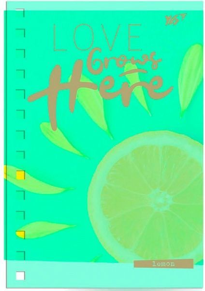 Книга для записей В6/144 YES