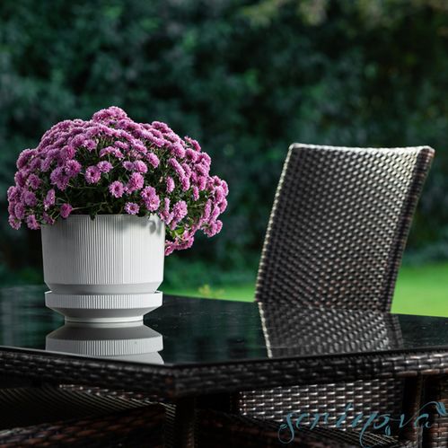 Горщик для квітів Serinova №3 LUX POT круглий 6 л антрацит 