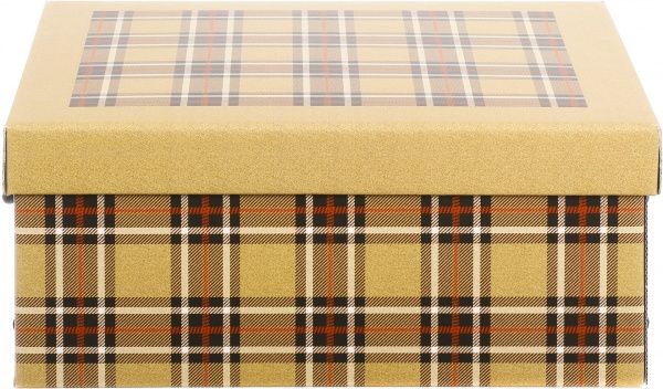 Ящик картонний Miss Space Клітинка 370x300x160 мм бежевий