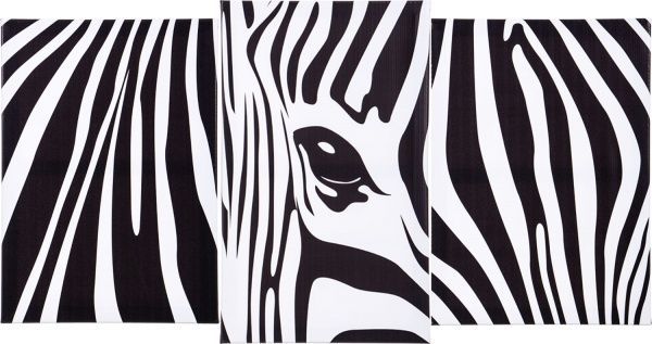 Картина модульная 3 части Животные 523 100x53 см Е0055 