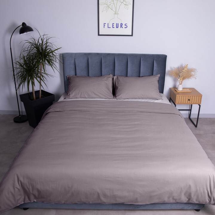 Комплект постільної білизни Mono 1.5 тауп Luna