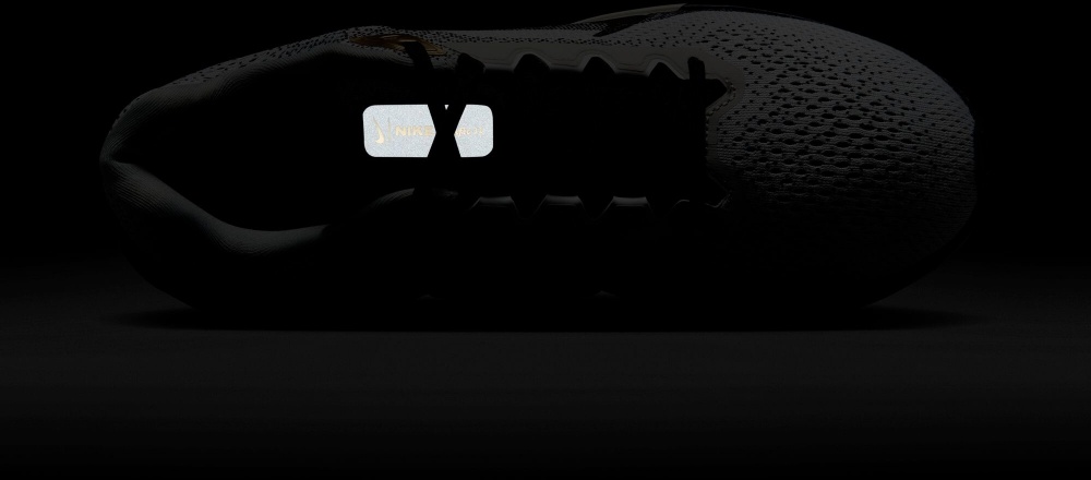 Кросівки чоловічі Nike AIR WINFLO 11 SE HQ7975-100 р.43 світло-сірі