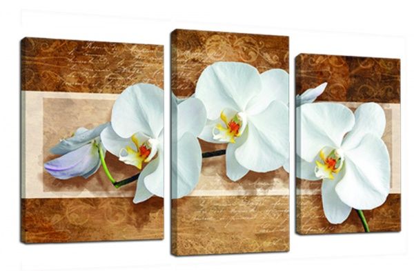 Картина модульная Цветы 453 акц. 100x53 см 