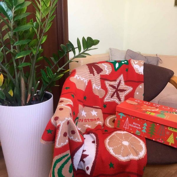 Плед Печенье 130x170 см Прованс 