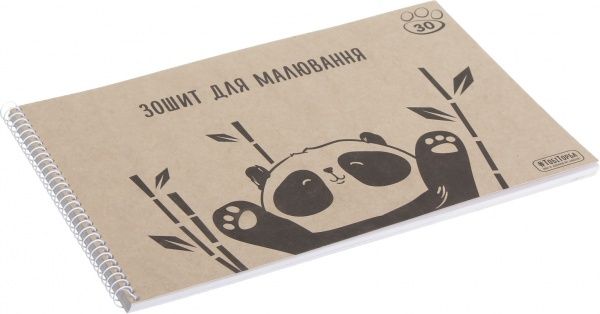 Тетрадь для рисования ЕКО А4 30 листов Мечты сбываются