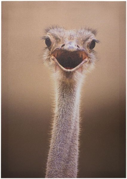 Картина КП04-022 40x60 см КП04-022 