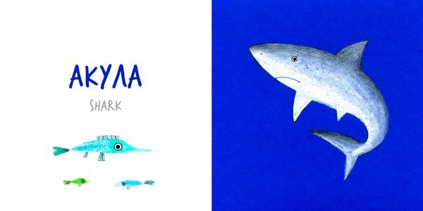 Книга «Книга. Морские Животные (РУС)» 9786177395149