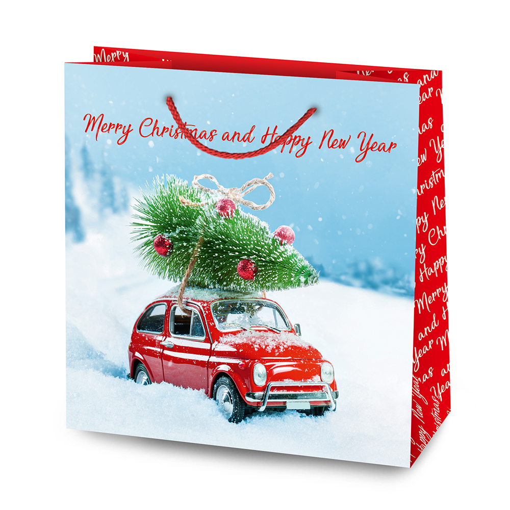 Пакет подарочный ML-3 НР в ассортименте