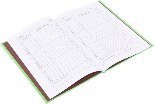 Дневник школьный BALL В5 40 листов твердый переплет KIDS Line ZiBi