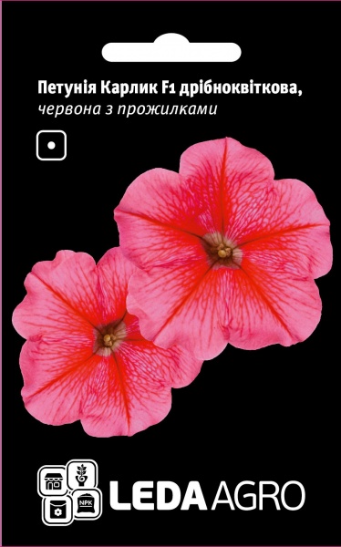 Семена LedaAgro петуния Карлик 10 шт. (4820119797211)
