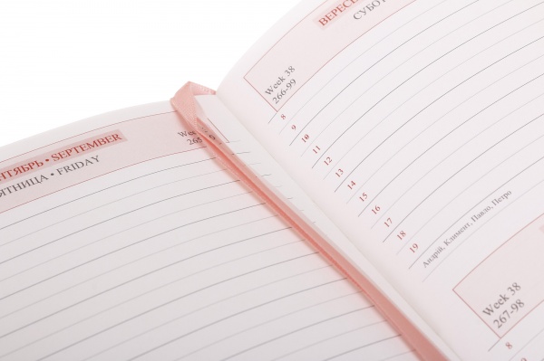 Щоденник датований Dreams Leo Planner Dreams A5 2023