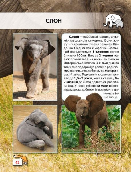 Книга «Світ навколо нас. Малята тварин» 978-966-9369-49-9