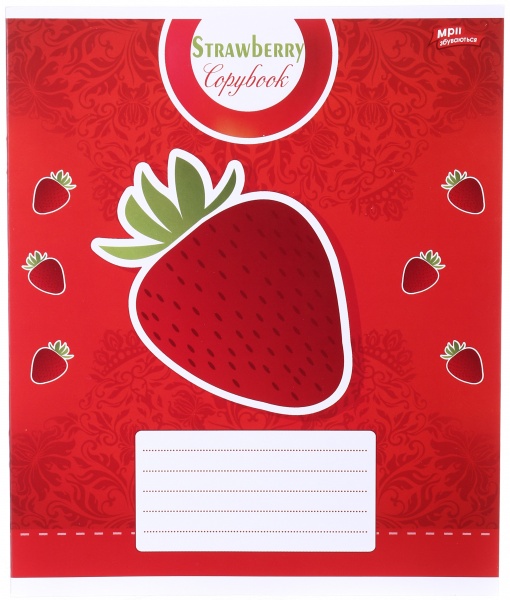 Тетрадь школьная 24 листа в линейку в ассортименте Мечты сбываются