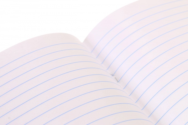 Тетрадь школьная Anime скоба 24 листов в линию Мечты сбываются