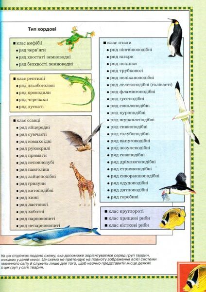 Книга «Велика енциклопедія тварин (нова обкладинка)» 978-966-462-988-8