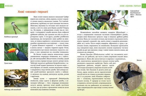 Книга «Хижаки» 978-966-935-587-4