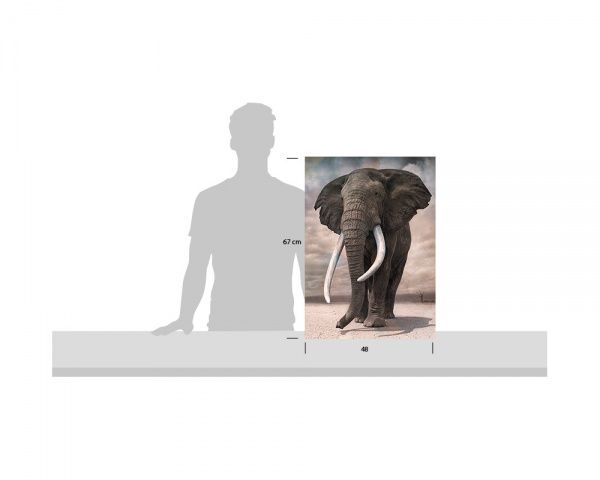 Репродукция Жизнь животных 48x67 см 