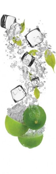 Наклейка на холодильник Zatarga Лайм и лед 65x200 см