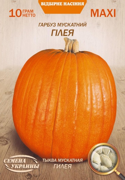 Семена Семена Украины тыква мускатная Гилея 10г