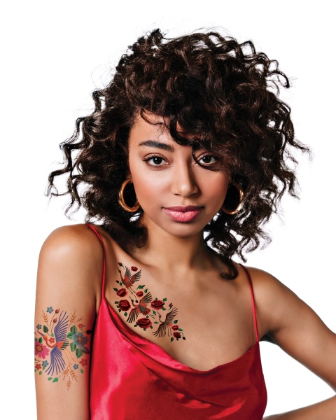 Тату временное TATTon.me Crane Birds set