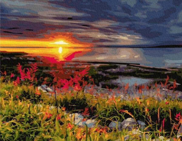 Картина за номерами Яскравих захід bk_1254 BookOpt 