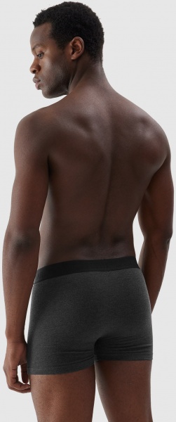 Трусы 4F BOXER SHORTS M027 (2PACK) 4FAW23UBXSM027-92S р.M разноцветный