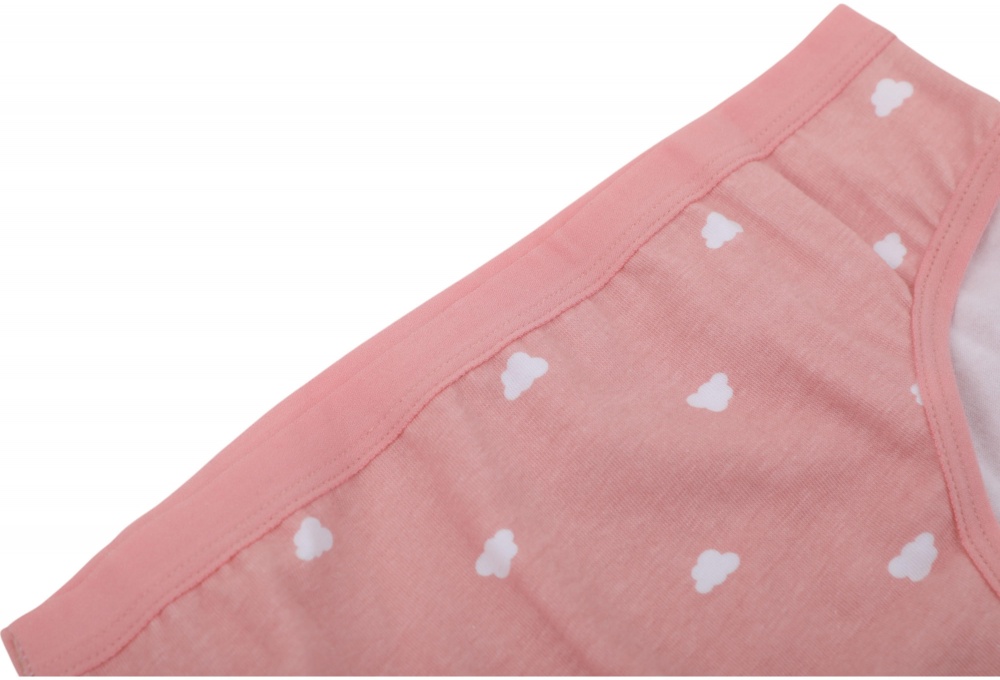 Набір трусів для дівчаток HW 3 пари р.134-140 рожевий із блакитним E4-F4