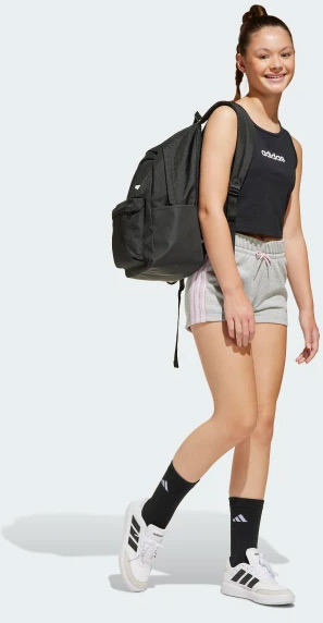 Рюкзак Adidas JI6953 CLSC BARS BP