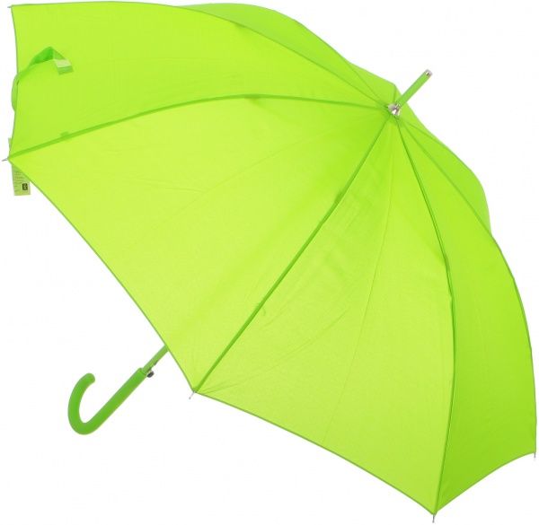 Зонт Economix Promo City зеленый 