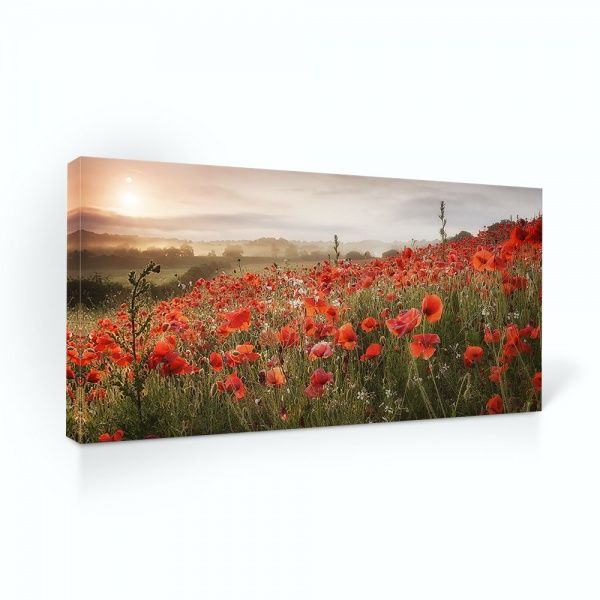 Репродукция Маковое поле 96x48 см i_96x48_00066 