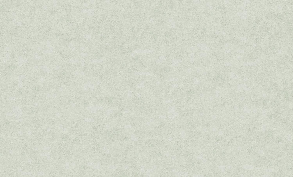 Шпалери вінілові на флізеліновій основі Bravo 81116BR08 1,06x10,05 м