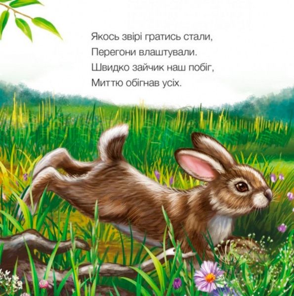 Книга Светлана Зайцева «Милые зверята: Зайчик» 978-966-748-971-7