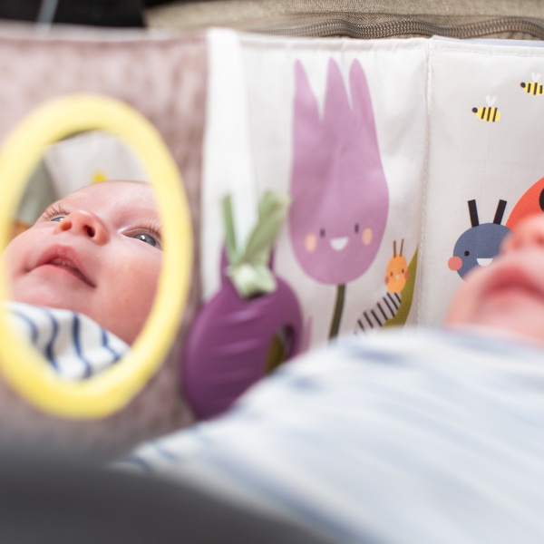 Іграшка Taf Toys Садочок у місті Зайчики 13065