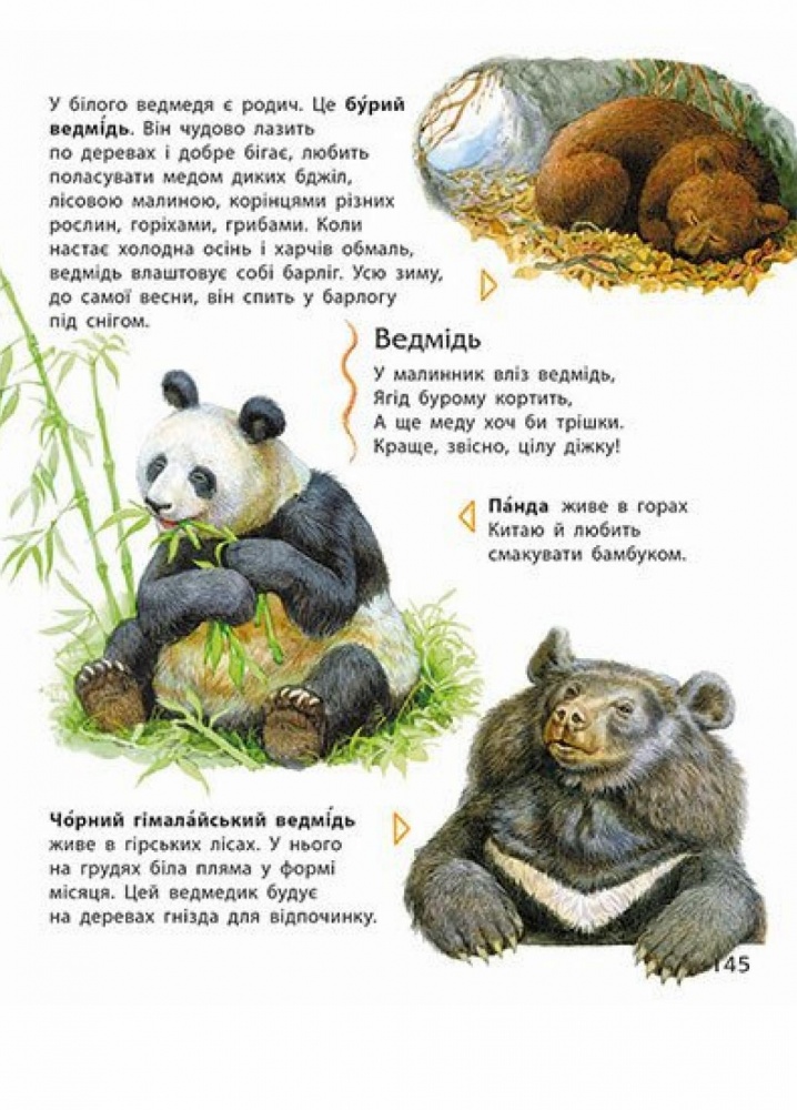 Книга Юлия Каспарова «Несерійний: Енциклопедія дошкільника (збірник)» 978-617-09-9842-2