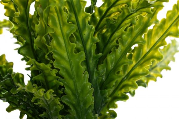 Рослина штучна Барбадоське алое HONGYE A5-03484