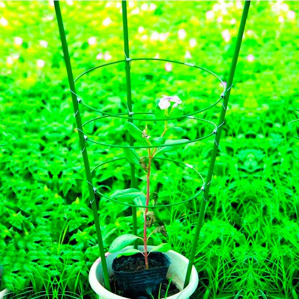 Опора для рослин IFR-120 120 см