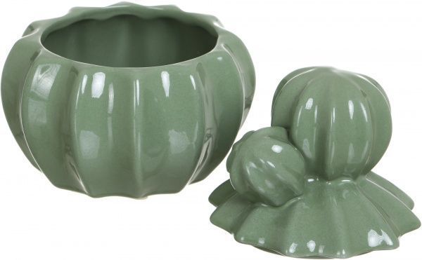 Скринька Кактус WW 2704-15 світло-зелений Eterna