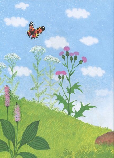 Книга Зденек Мілер «Кротик» 978-966-462-962-8